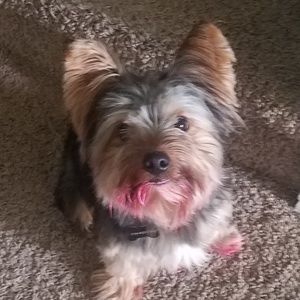 Meet your Posher, Rubie